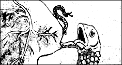 issue-6-page-29-1