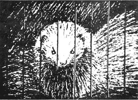 issue-7-page-44-1