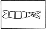 22d