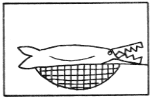 22e