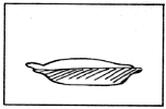 23a