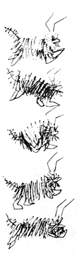 26a
