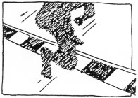 19b