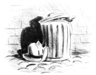 31b