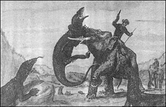 15b
