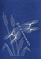 An introduction to stitching cards