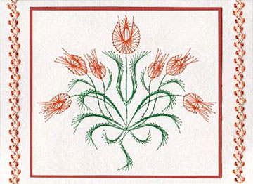 tulip