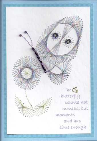 butterflies
