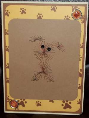 Cayden's BD card