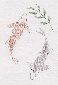 Japanese Koi carp