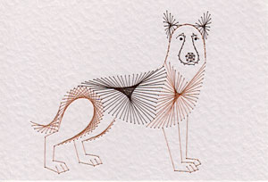Alsatian dog