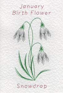 Snowdrop pattern added at Form-A-Lines