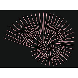 Free String Art Shell Pattern